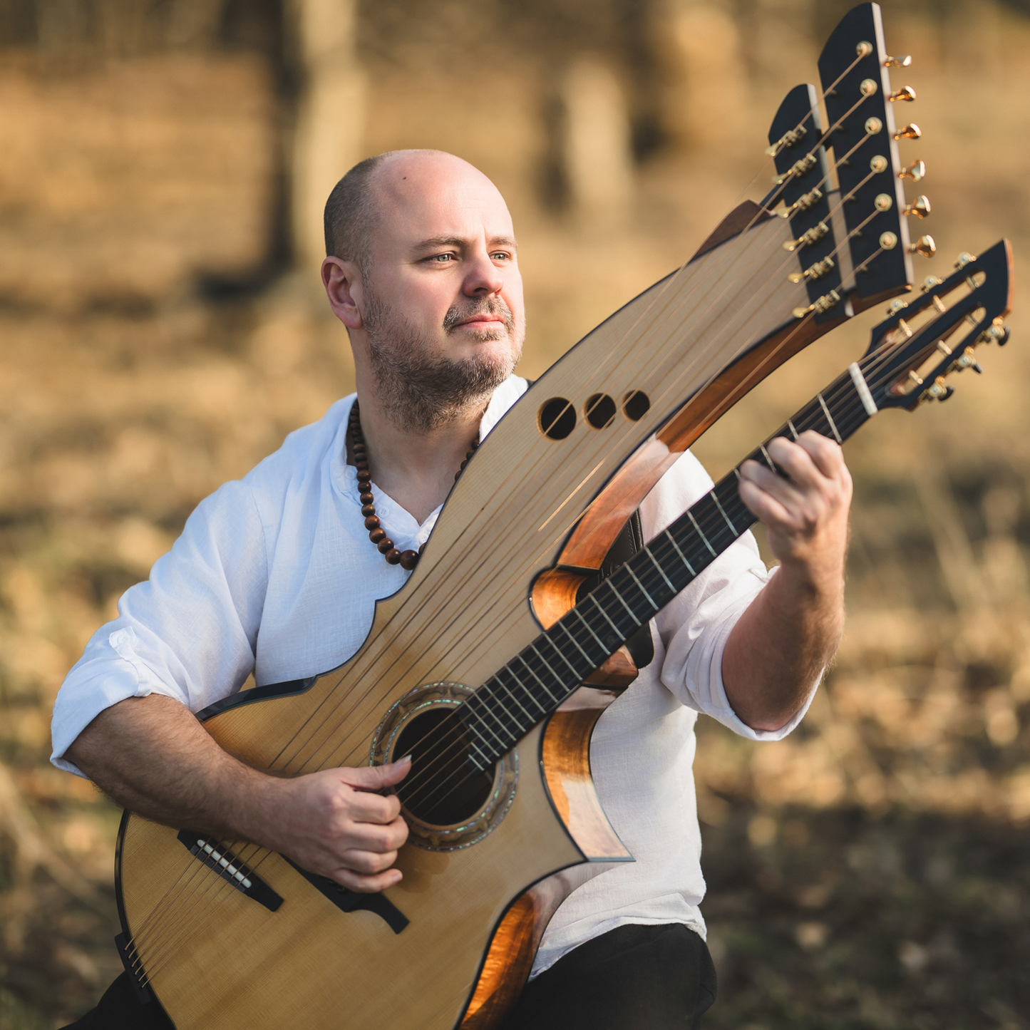 Andy McKee's The Art Of Motion™ Signature Blend