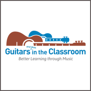 Andy McKee's The Art Of Motion™ Signature Blend