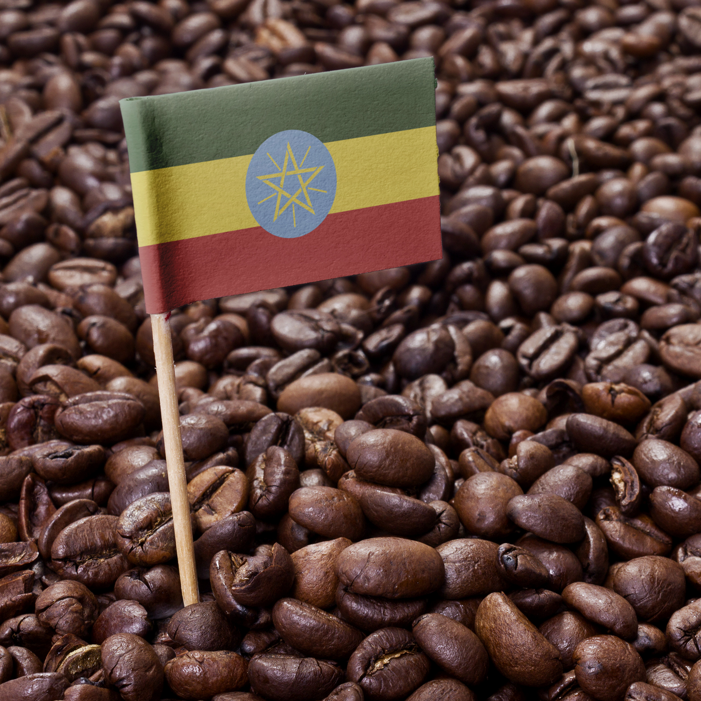 Ethiopia Yirgacheffe
