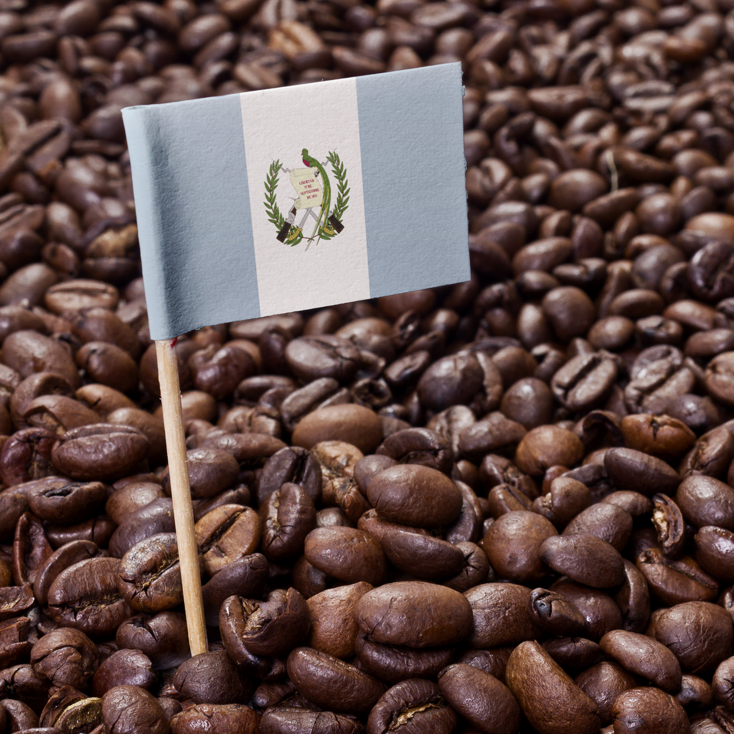 Guatemala Antigua Organic