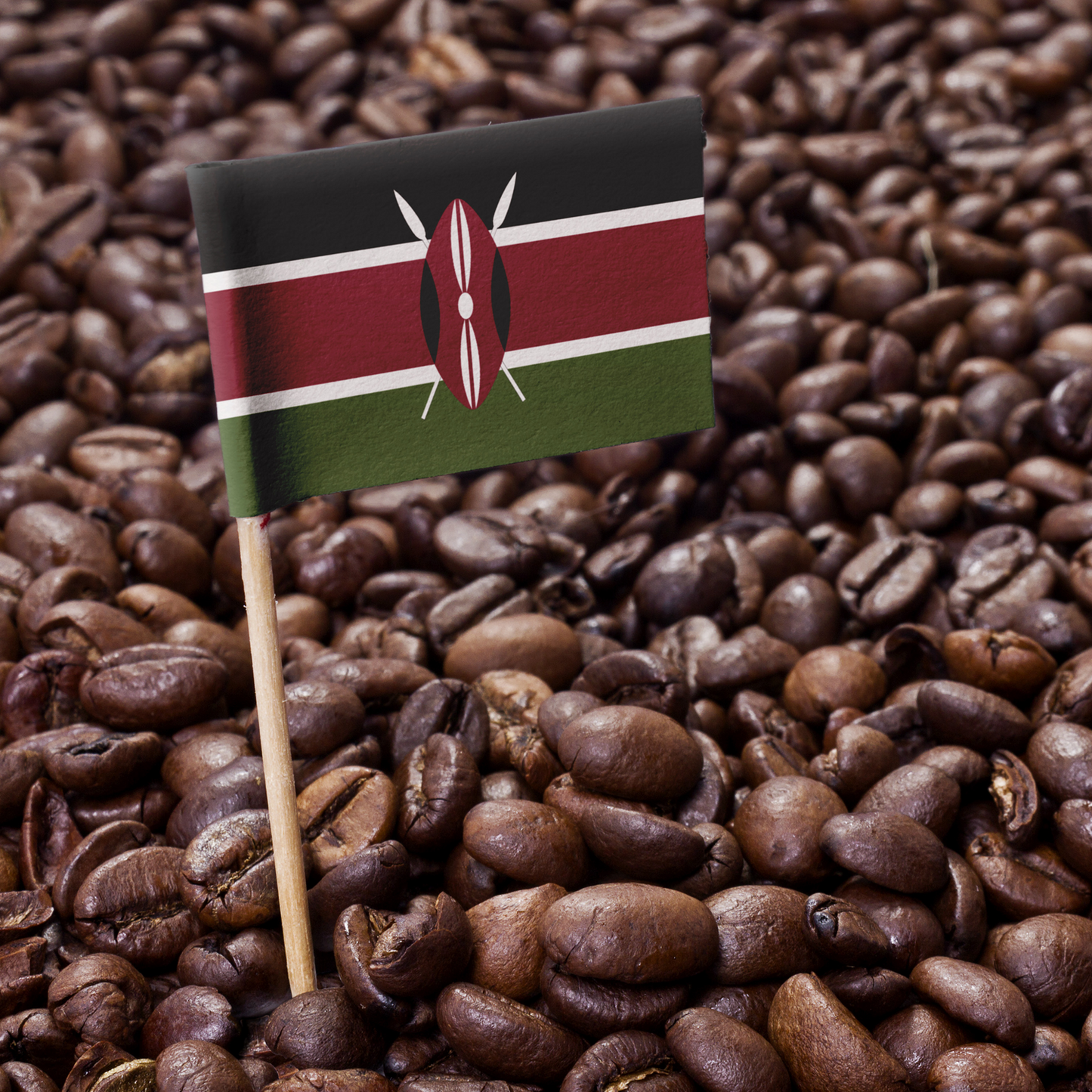 Kenya AA