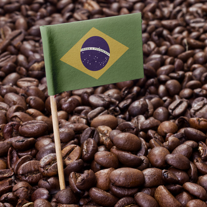 Brazil Bourbon Santos