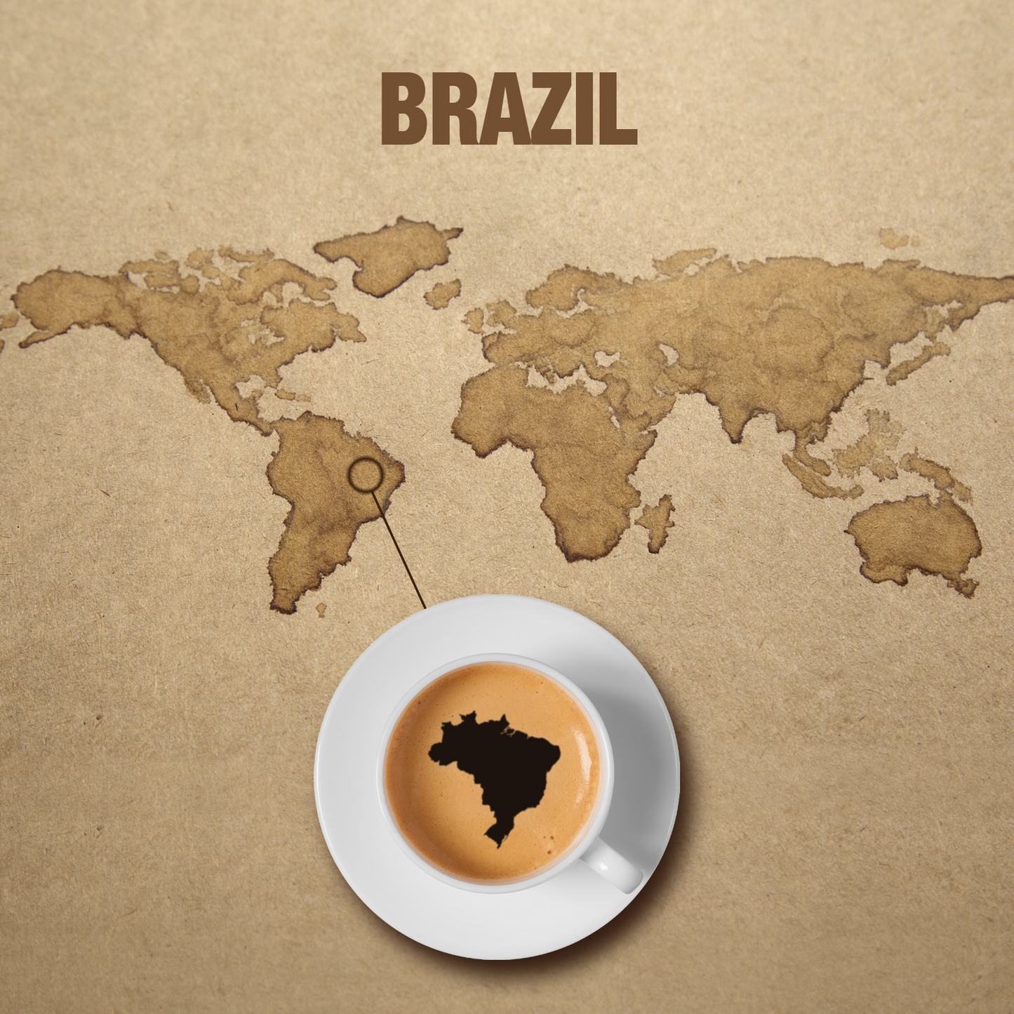 Brazil Bourbon Santos