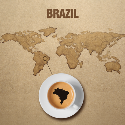 Brazil Bourbon Santos