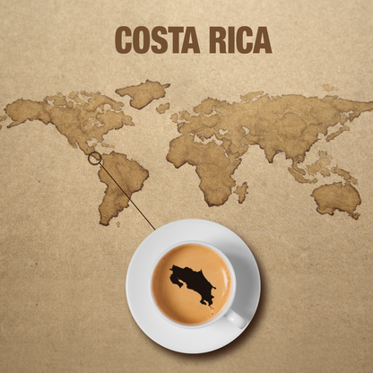 Costa Rica Tarrazu SW-Decaf