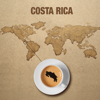 Costa Rica Tarrazu Single-Serve Cups