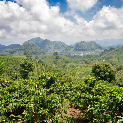 Honduras