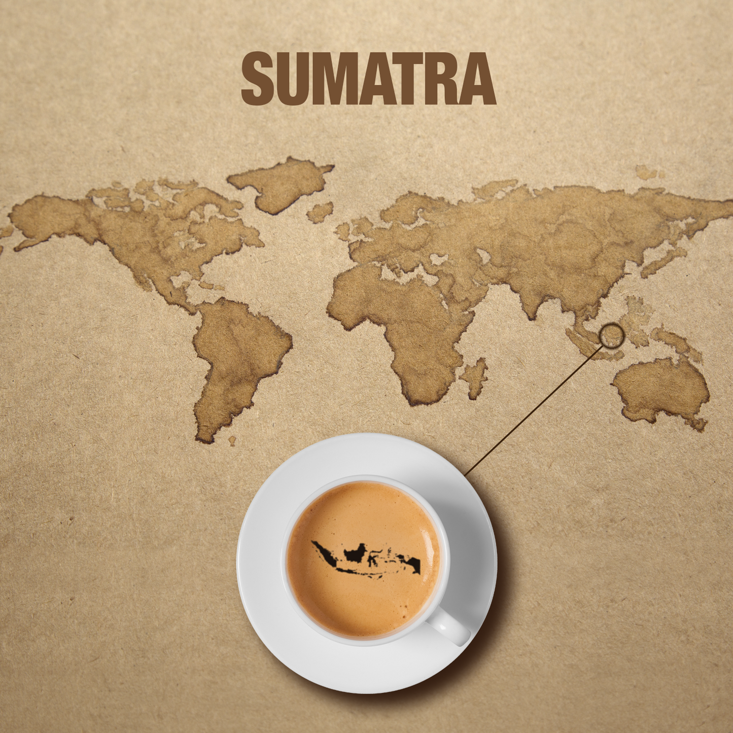 Sumatra Mandheling